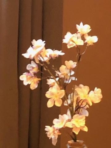 Chambres Avec Piscine 圖盧茲 外观 照片